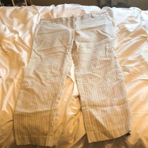 Women’s dress pants size 12